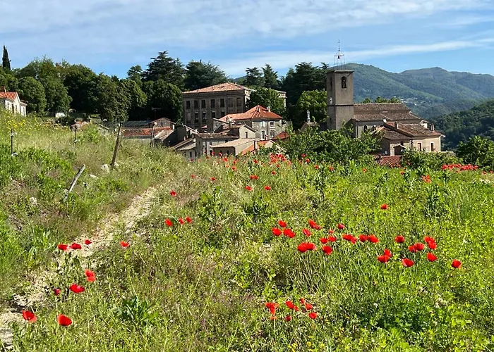 Ferienhaus Les Brugas De Camias Saint-André-de-Majencoules